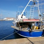 Neue Ferienhäuser: Fischerboot im Hafen von Calasetta