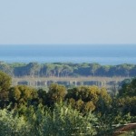 Feriendomizil Tartaruga