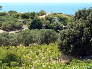 Blick auf Santa Maria del Mare