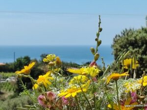 Frühling an der Westküste Sardiniens