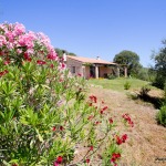 Casa Aglientina nahe San Pantaleo, wundervoller Garten