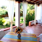 Schöne Terrasse mit Blick in den Garten, Ferienhaus Camboni, Costa Rei