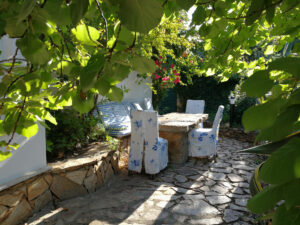 Schattiger Sitzplatz unter Weinranken