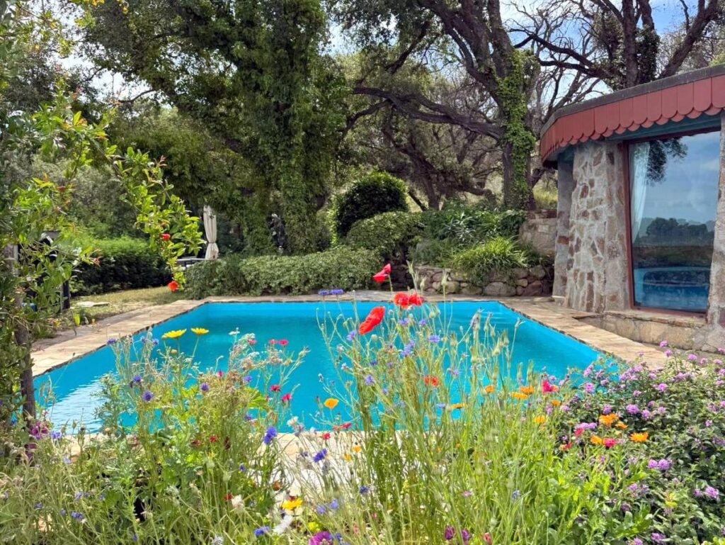 Pool im Frühling Sa Petra Rujauja-001 Pool im Frühling Sa Petra Ruja