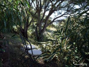 Sitzplätze, Sonnen - und Schattenbereiche