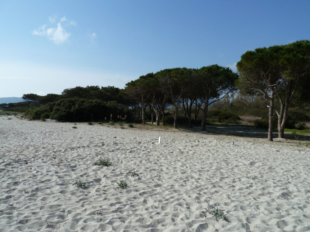 sardinien, la Caletta sardinien, la Caletta