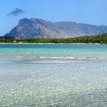 isola di tavolara nahe Budoni