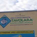 Area Marina Protetta Tavolara Punta Coda Cavallo
