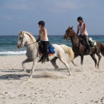 Am Strand entlang - herrlich!