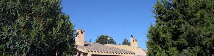 Ferienhaus Giunco im Garten