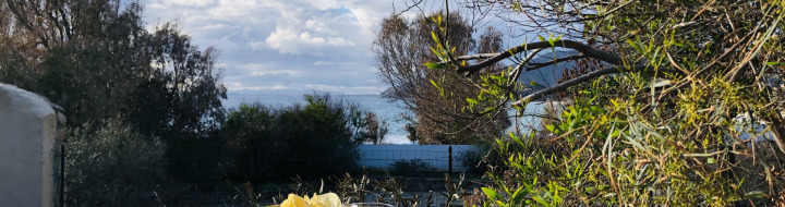 Traumhafter Frühstücksplatz mit Meerblick