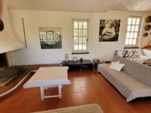 Am_Kamin_Gemütliche-Sofas-Wohnraum
