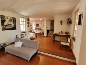 Gemütliche-Sofas-im Wohnraum