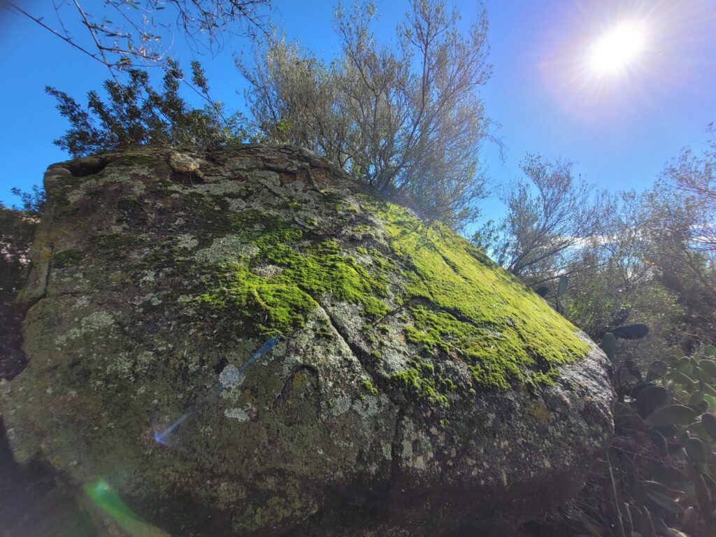 Uralte Felsen erzählen Geschichten vergangener Kulturen Uralte Felsen erzählen Geschichten vergangener Kulturen