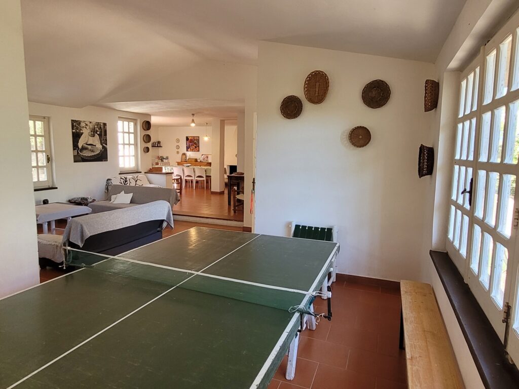 Tischtennisplatte im Wohnraum - Spaß für alle Tischtennisplatte im Wohnraum - Spaß für alle