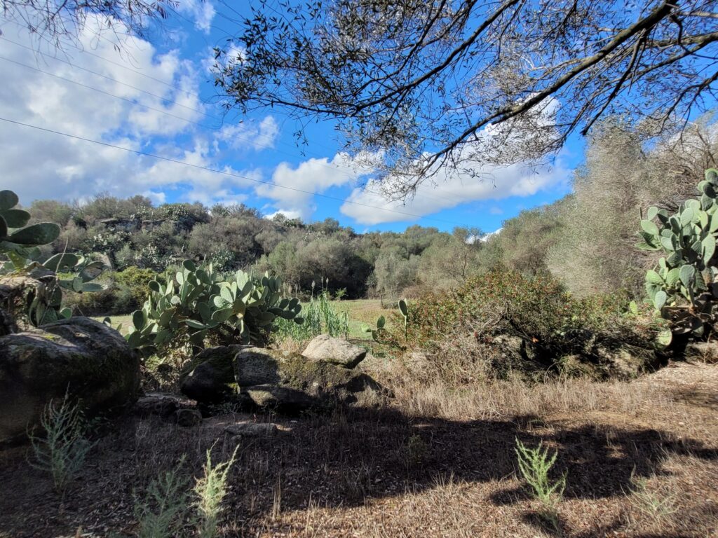 Wunderschöne Landschaft rund um die Villa Wunderschöne Landschaft rund um die Villa