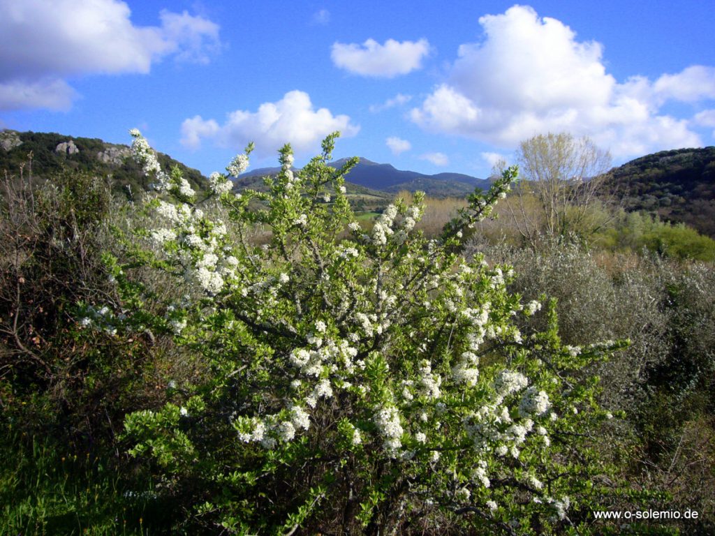 Sardinien im März, April