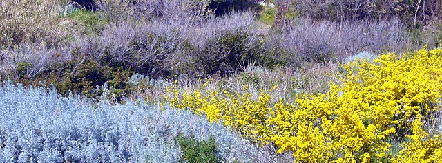 Sardinien_farbrausch Sardinien_farbrausch, Informationen über die Insel