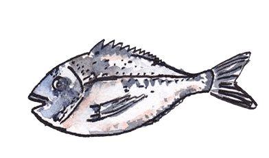O solemio fisch Fisch – Illustration von o-solemio