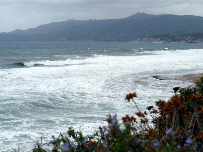 Wind-Kunde sardinien-Wind-Kunde