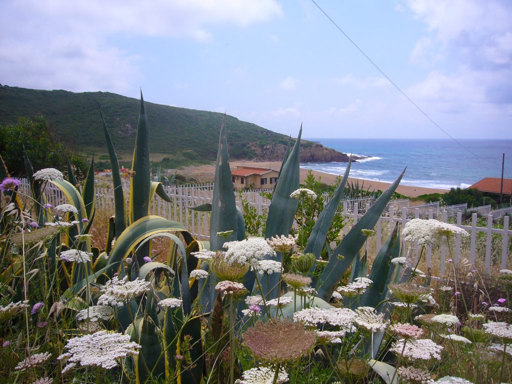 Blick auf Ferienhaus Marino und zum Hauptstrand von Porto Alabe Sardinien, Porto Alabe, Strand und Meer