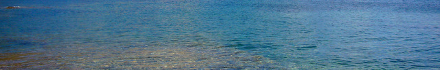 mönchsrobbe sardinien_o-solemio_1271