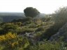 wildnis--sardinien wildnis-sardinien